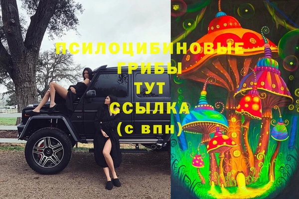 PSILOCYBIN Балахна