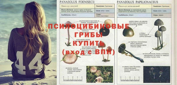 мдпв Белокуриха