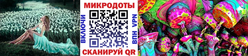 Псилоцибиновые грибы прущие грибы  закладки  Бахчисарай 